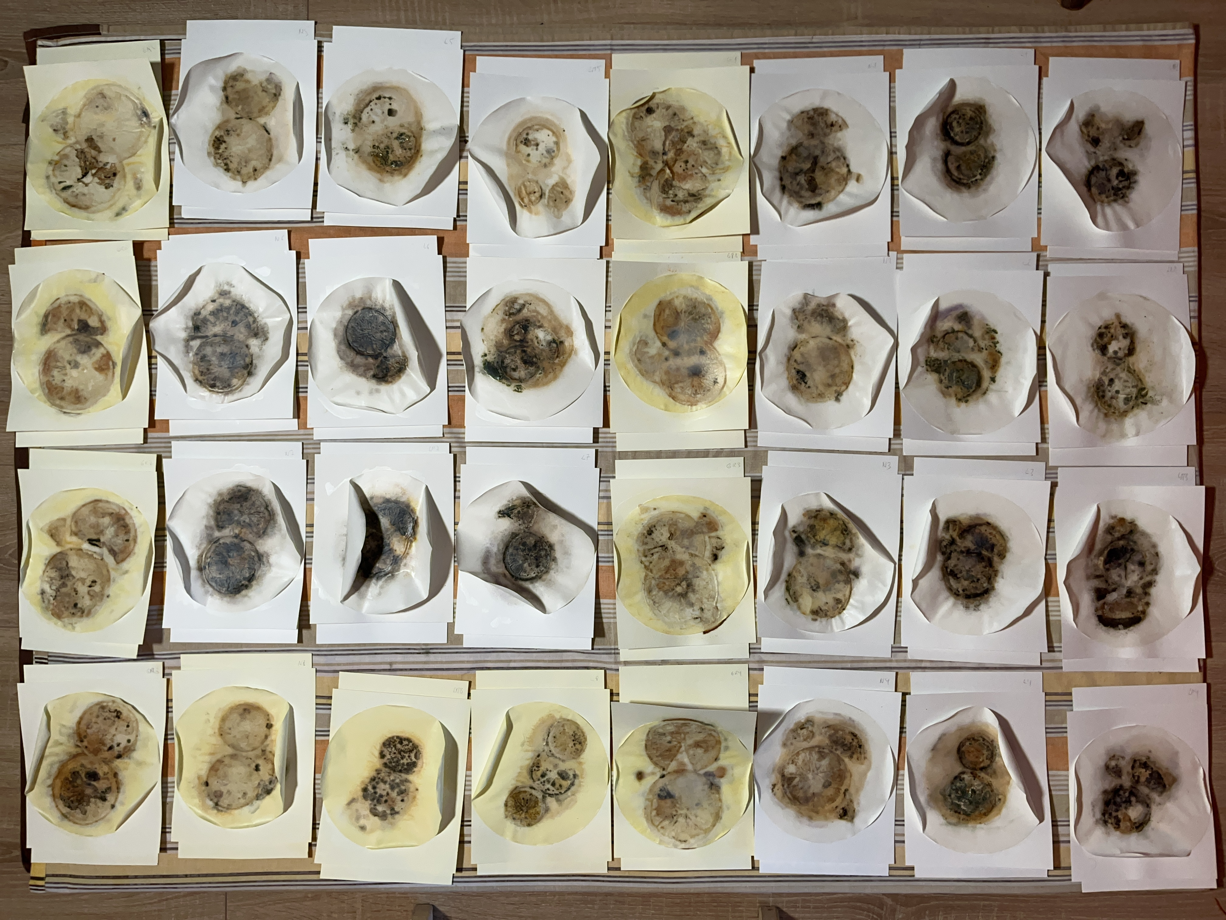 Decay or related project panel