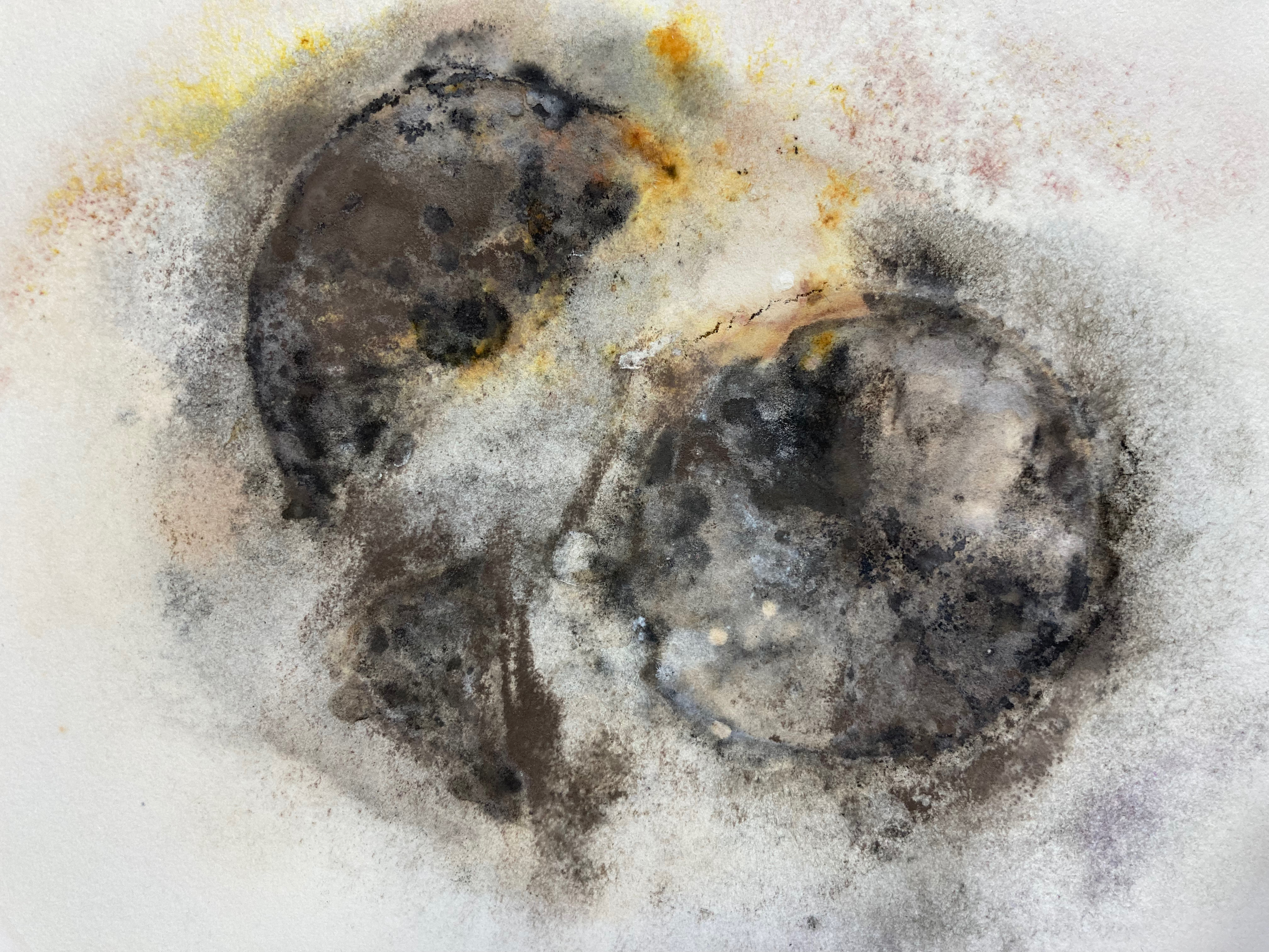 Decay panel with resulting pieces