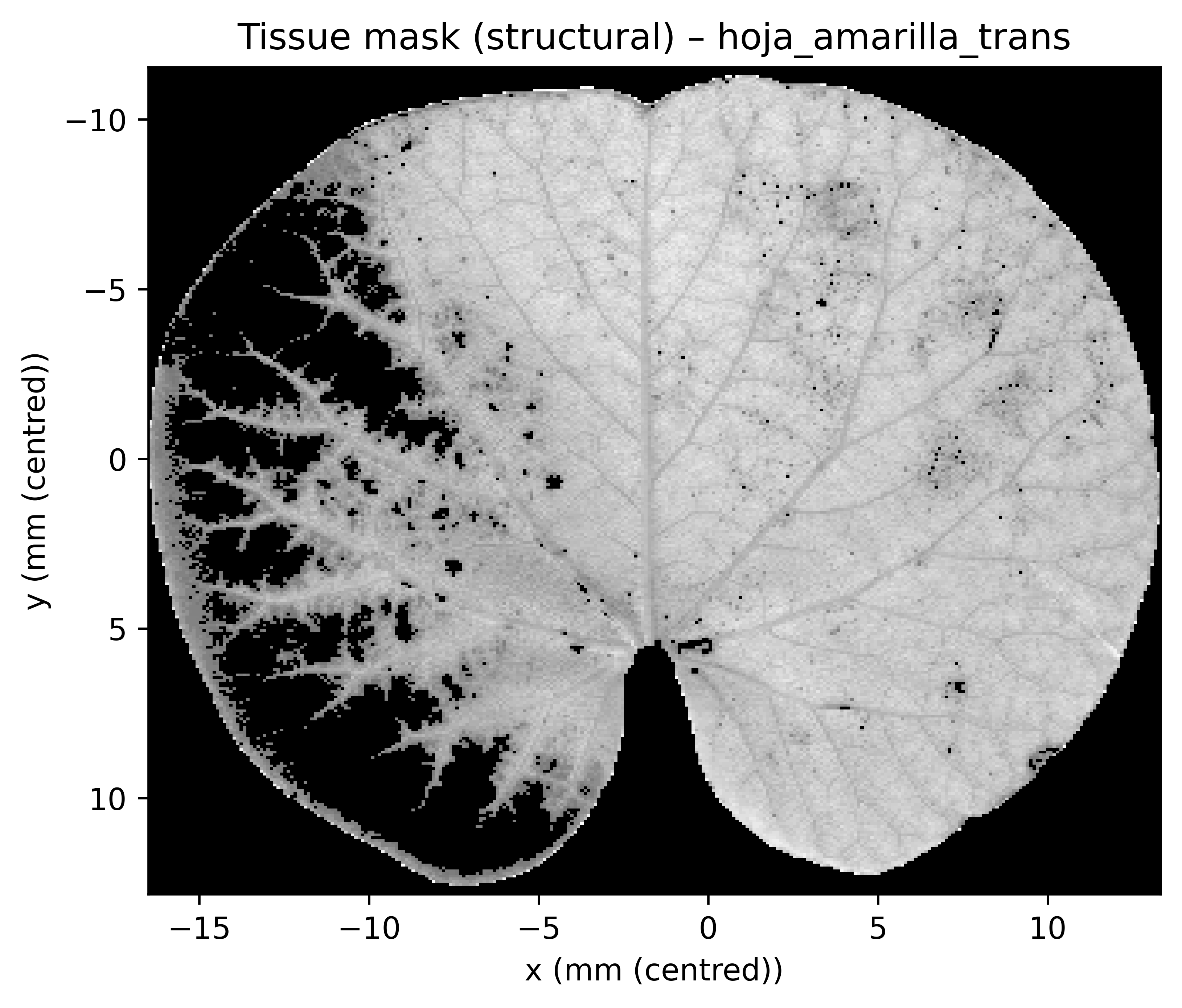 Project cover placeholder